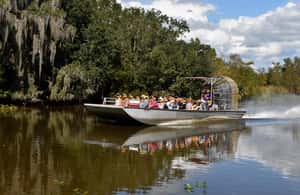 Immagine nº 3 di Da Lafitte: tour della palude a sud di New Orleans in motoscafo attività a New Orleans, caricata dal fornitore