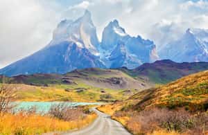imagem n.3 de De El Calafate: Excursão de 1 dia a Torres del Paine atividade em Puerto Natales, carregada pelo fornecedor
