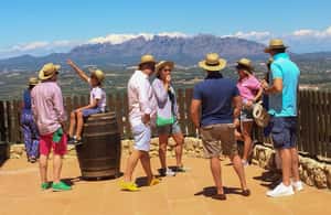 billede nr.4 af aktiviteten Fra Barcelona: Montserrat-frokost og vinsmagning i vingård i Catalonien, uploadet af udbyder