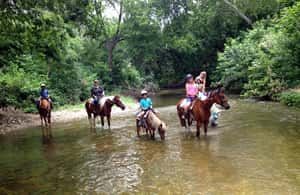 image n.3 of From Fethiye: Horse Riding Adventure activity in Fethiye, uploaded by supplier