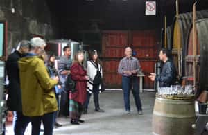 Bild Nr. 3 von Porto: 3 Douro Valley Vineyards Tour mit Mittagessen Aktivität in Região Norte, hochgeladen vom Anbieter