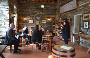 Bild Nr. 4 von Porto: 3 Douro Valley Vineyards Tour mit Mittagessen Aktivität in Região Norte, hochgeladen vom Anbieter