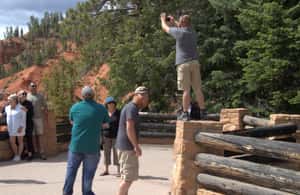 image n.4 of Bryce: Guided Sightseeing Tour of Bryce Canyon National Park activity in Utah, uploaded by supplier