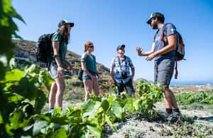 imagem n.4 de Santorini: Aula de culinária e caminhada fácil atividade em Fira, Santorini, carregada pelo fornecedor