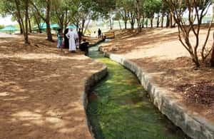 サプライヤーによってアップロードされた、アル アインのアブダビ発：アルアイン 1 日ツアー（ランチ付き）の画像#4