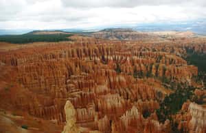 image n.3 of Bryce: Guided Sightseeing Tour of Bryce Canyon National Park activity in Utah, uploaded by supplier