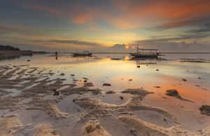imagem n.3 de Sanur: excursão de bicicleta ao nascer do sol na praia de meio dia atividade em Dempassar, carregada pelo fornecedor