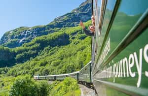 Image N°4 de Bergen : visite privée, croisière dans le Nærøyfjord et chemin de fer de Flåm activité à Flåm, publiée par le prestataire