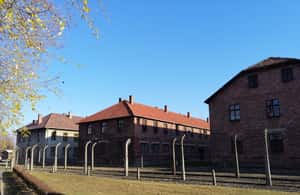 Immagine nº 3 di Varsavia: Tour di Cracovia e Auschwitz in treno con servizio di prelievo attività a Oswiecim, caricata dal fornitore