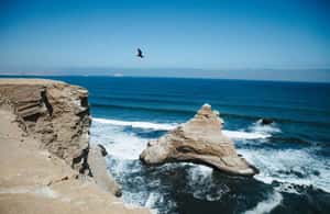 foto no. 3 dari aktivitas Paracas: Tur Kepulauan Ballestas dan Cagar Alam Nasional Paracas di Paracas, diunggah oleh pemasok