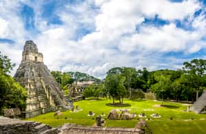 image n.4 of From San Ignacio: Tikal Maya Site Day-Trip with Local Lunch activity in Flores, Guatemala, uploaded by supplier