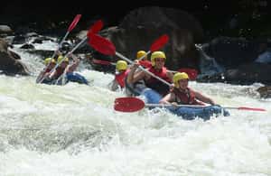 image n.4 of Mission Beach: Tully River Half Day White Water Rafting activity in Queensland, uploaded by supplier