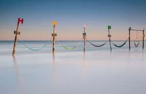 image n.3 of Riviera Maya: Holbox Island Full-Day Trip with Lunch activity in Quintana Roo, uploaded by supplier
