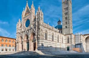 Immagine nº 3 di Da Firenze: Toscana, Siena, San Gimignano e pranzo in cantina attività a Siena, caricata dal fornitore