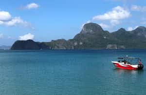 imaginea n.4 a activității O jumătate de zi Seasation Premium Speedboat Group Island Hopping în El Nido, încărcată de organizator