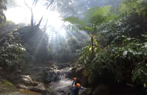 afbeelding n.4 van Sao Miguel, Azoren: Canyoning ervaring in Ribeira Grande activiteit in Azoren, geüpload door aanbieder