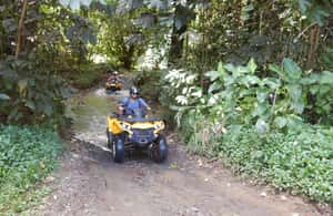 image n.4 of Mo'orea: Guided ATV Nature Tour activity in Leeward Islands, uploaded by supplier