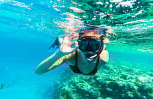 image n.3 of From Dubai: Snorkeling Trip to Dibba Al-Fujairah activity in Dubai, uploaded by supplier