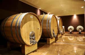 image n.4 of Lake Garda: Wine Tour and Tasting Experience in Bardolino activity in Lombardy, uploaded by supplier