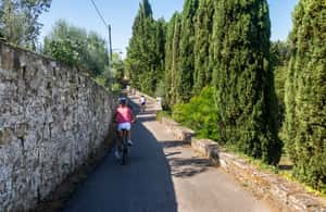 imagen n.º 3 de Florencia: tour de medio día en bicicleta por la campiña toscana y catas actividad en Florencia, subida por el proveedor