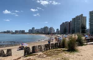 image n.3 of From Montevideo: Punta del Este Full-Day Tour with Guide activity in Punta del Este, uploaded by supplier