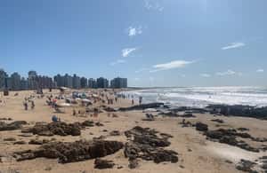 image n.4 of From Montevideo: Punta del Este Full-Day Tour with Guide activity in Punta del Este, uploaded by supplier