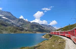 Immagine nº 4 di Da Milano: Tour guidato con il treno del Bernina a St. Moritz attività a Coira, caricata dal fornitore