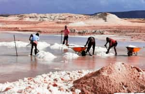 imagem n.3 de Da Praia: Excursão de dia inteiro à Ilha do Sal atividade em Sal, carregada pelo fornecedor