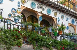 bild nr.4 av Granada: Albaicín Rundvandring i Albaicín, Sacromonte och grottmuseet aktivitet i Granada, uppladdad av arrangören