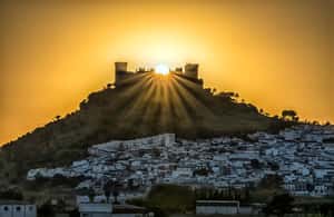 imagen n.º 4 de Córdoba: entrada al castillo de Almódovar actividad en Córdoba, subida por el proveedor