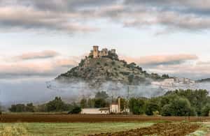 imagen n.º 3 de Córdoba: entrada al castillo de Almódovar actividad en Córdoba, subida por el proveedor