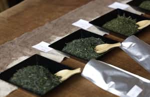 imagen n.º 3 de Shizuoka: tour del té japonés con degustación y preparación de té actividad en Shizuoka, subida por el proveedor