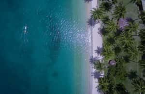 Puerto Princesa içindeki Puerto Princesa: Barton Limanı gidiş-dönüş transferleri etkinliğinin tedarikçi tarafından yüklenen 4 no'lu görseli