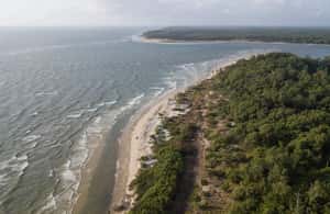 slika št. 4 aktivnosti Iz Belema: voden enodnevni izlet na otok Marajo in Soure na destinaciji Anajas, naložil dobavitelj
