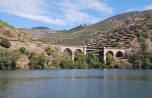 image n.3 of Pinhão: 4 Hour Douro Valley Kayak Rental activity in Norte Region, uploaded by supplier