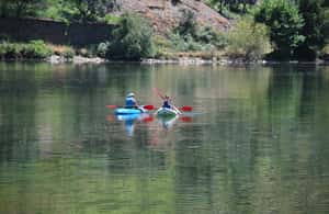 image n.4 of Pinhão: 4 Hour Douro Valley Kayak Rental activity in Norte Region, uploaded by supplier