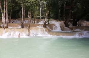 image n.4 of Luang Prabang: Rice Farm and Kuang Si Waterfall Tour activity in Luang Prabang, uploaded by supplier