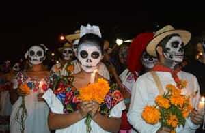 image n.4 of Mexico City: Day of the Dead Guided Tour activity in Mexico City, uploaded by supplier