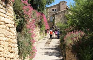 imagem n.3 de De Avignon: passeio de meio dia em Baux de Provence e Luberon atividade em Saint-Rémy-de-Provence, carregada pelo fornecedor
