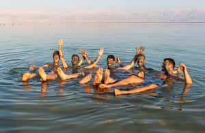 image n.4 of Jerusalem: Masada National Park and Dead Sea Excursion activity in West Bank, uploaded by supplier
