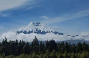 image n.4 of From Quito: Cotopaxi National Park Full-Day Tour with Hike activity in Cotopaxi Province, uploaded by supplier