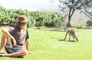 image n.4 of Brisbane: Stradbroke Island Tour - Beaches, Wildlife & Vibes activity in Brisbane, uploaded by supplier