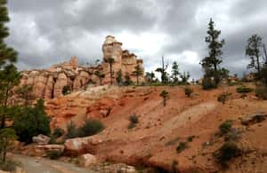 image n.4 of Bryce Canyon National Park Hiking Experience activity in Bryce Canyon City, uploaded by supplier