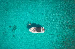 billede nr.3 af aktiviteten Trogir: Privat bådtur på en halvdagstur i Dalmatien, uploadet af udbyder