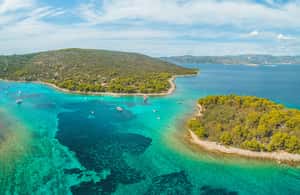 billede nr.4 af aktiviteten Trogir: Privat bådtur på en halvdagstur i Dalmatien, uploadet af udbyder