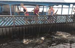 imagen n.º 3 de Amazonas: Paseo en barco con un amazónico local actividad en Manaos, subida por el proveedor