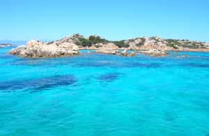 image n.3 of Olbia: Maddalena Archipelago Boat Tour with Minibus Transfer activity in Sardinia, uploaded by supplier