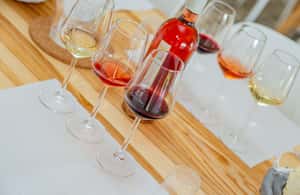 image n.3 of Alghero: Wine and Olive Oil Tasting at a Local Farm activity in Alghero, uploaded by supplier