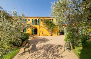 image n.4 of Alghero: Wine and Olive Oil Tasting at a Local Farm activity in Alghero, uploaded by supplier