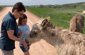 3. attēls no Buffalo Jeep Safari un Mamutu apskate aktivitātes Karstie avoti, Dienviddakota, augšupielādējis partneris